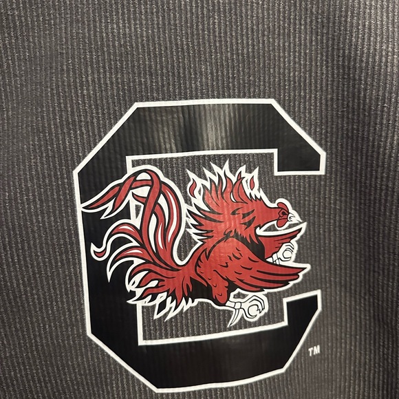 Gray Ribbed Gamecocks Sweatshirt - Picture 2 of 3